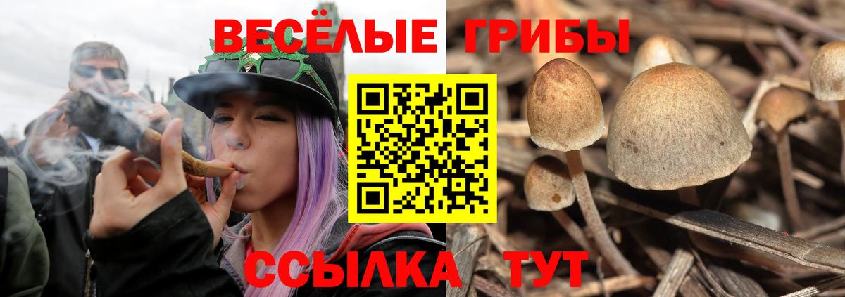 Галлюциногенные грибы мухоморы Кумертау